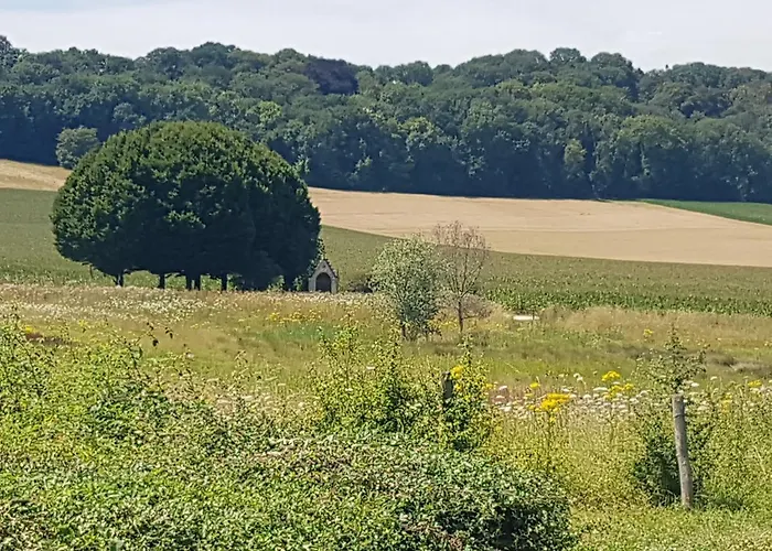 Gasthoeve Het Valkennest Hotel 3*